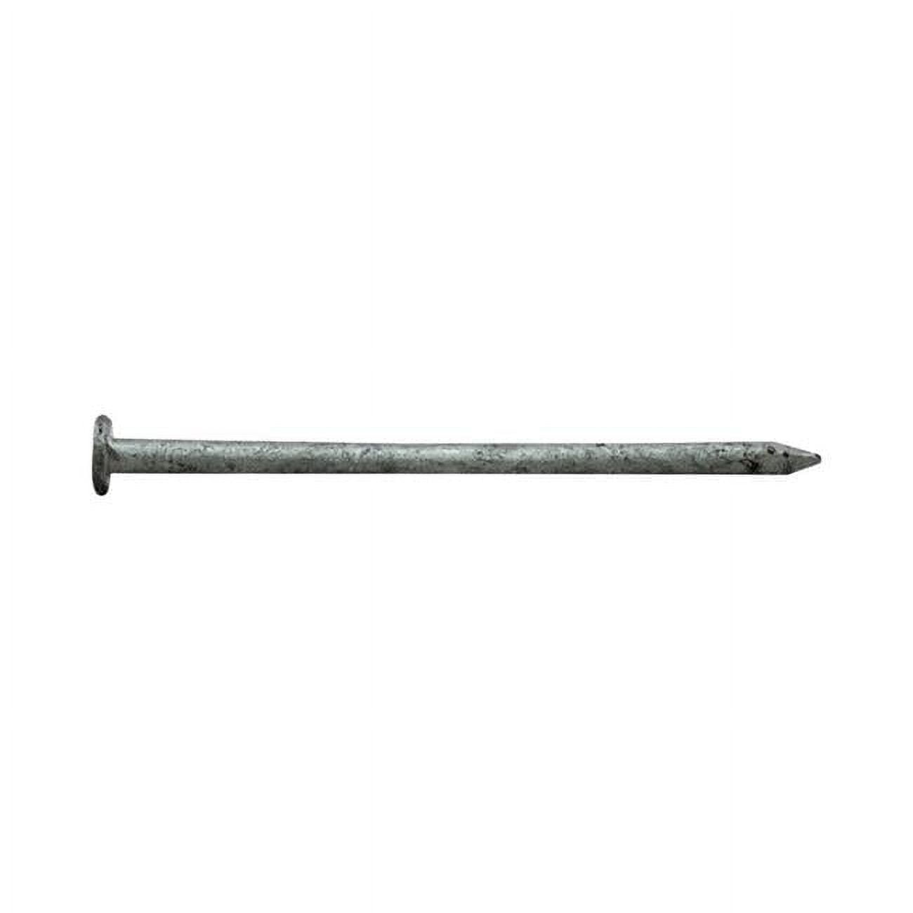 National Nail  2.5 in. 8D 5 lbs Common Nail