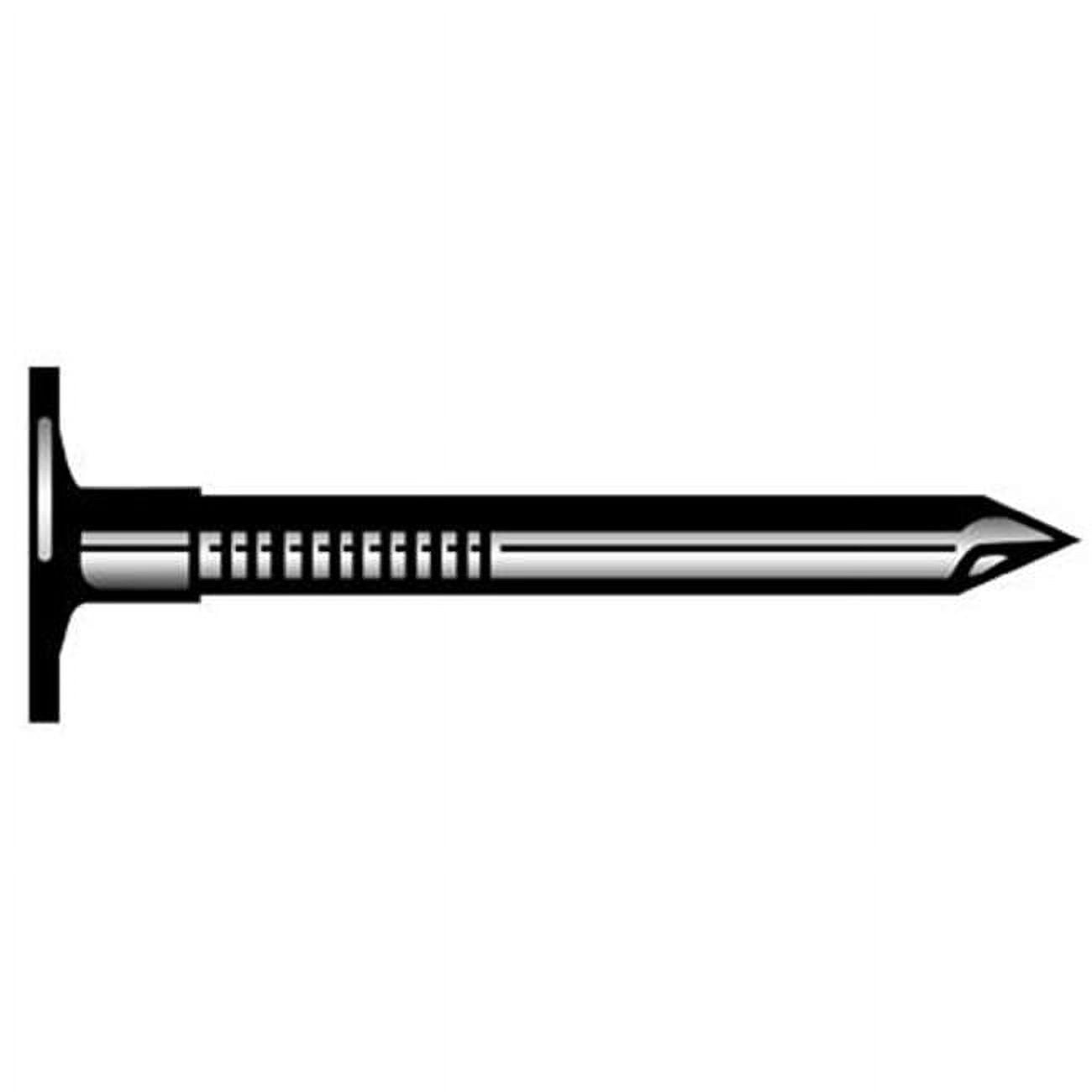 National Nail 69132 50 lbs. 2 in. Hot Galvanized Roofing Nail