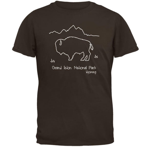 National Park Grand Teton Buffalo Mens T Shirt Brown X-LG