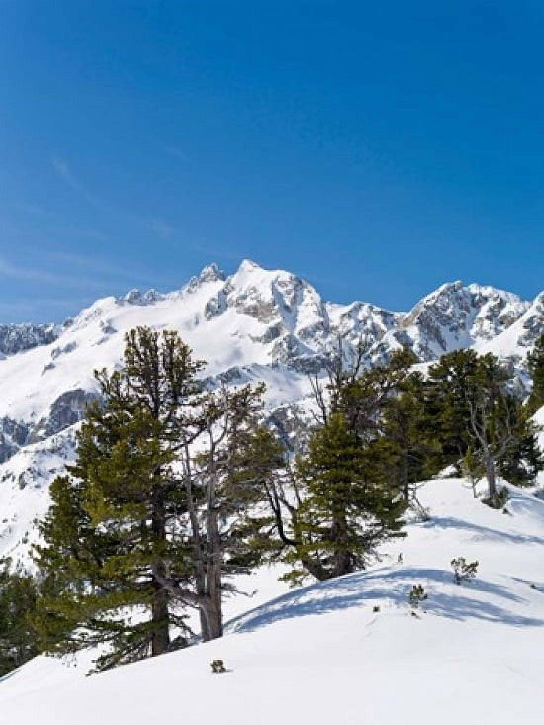 National Park Hohe Tauern Austria II Canvas Art - Martin Zwick DanitaDelimont (18 x 24)