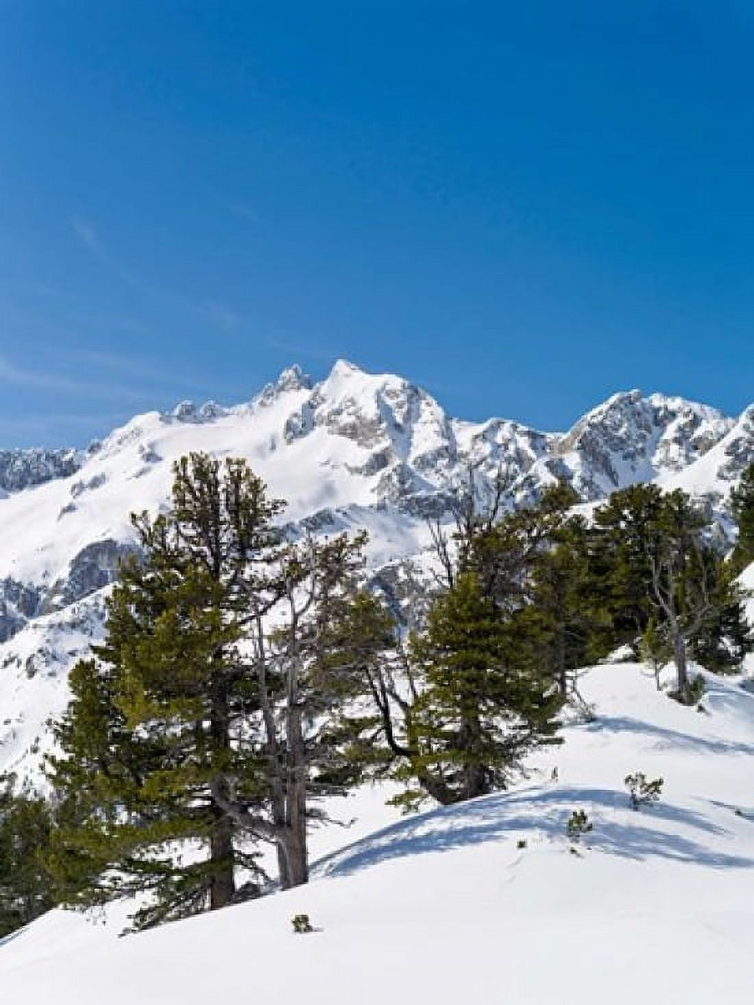 National Park Hohe Tauern Austria II Canvas Art - Martin Zwick DanitaDelimont (28 x 37)