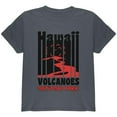thumbnail image 1 of National Park Retro 70s Color Bars Hawaii Volcanoes Youth T Shirt Charcoal Youth X-SM, 1 of 1