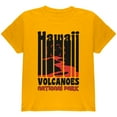 thumbnail image 1 of National Park Retro 70s Color Bars Hawaii Volcanoes Youth T Shirt Gold YMD, 1 of 1
