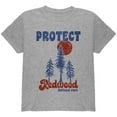 thumbnail image 1 of National Park Retro 70s Landscape Protect Redwood Youth T Shirt Heather YLG, 1 of 1