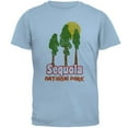 thumbnail image 1 of National Park Retro 70s Landscape Sequoia Mens T Shirt Light Blue MD, 1 of 1