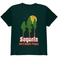 thumbnail image 1 of National Park Retro 70s Landscape Sequoia Youth T Shirt Forest Green Youth X-SM, 1 of 1