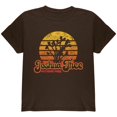 thumbnail image 1 of National Park Retro 70s Sunset Joshua Tree Youth T Shirt Brown YXL, 1 of 1