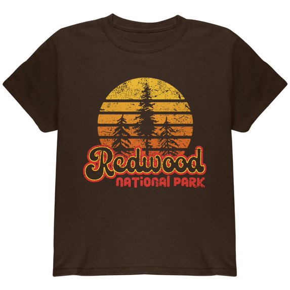 National Park Retro 70s Sunset Redwood Youth T Shirt Brown Youth X-SM
