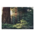 thumbnail image 1 of National Parks Cutting Board, Morning Sunlight in Wilderness Yosemite Sierra Nevada United States Nature, Decorative Tempered Glass Cutting and Serving Board, Large Size, Green Brown, by Ambesonne, 1 of 1