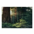 thumbnail image 1 of National Parks Cutting Board, Morning Sunlight in Wilderness Yosemite Sierra Nevada United States Nature, Decorative Tempered Glass Cutting and Serving Board, Small Size, Green Brown, by Ambesonne, 1 of 1