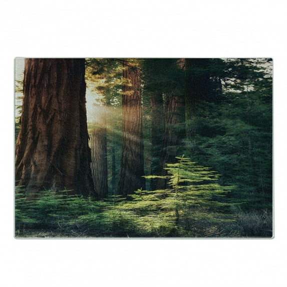 National Parks Cutting Board, Morning Sunlight in Wilderness Yosemite Sierra Nevada United States Nature, Decorative Tempered Glass Cutting and Serving Board, Small Size, Green Brown, by Ambesonne