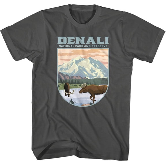 National Parks Denali Landscape Shape Smoke Adult T-Shirt Xl