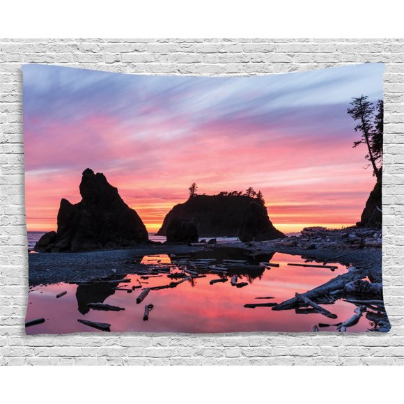 National Parks Home Decor Tapestry, Sunrise in a Slow Moving Stream Pinky Soft Mist Skyline Mystic Beach, Wall Hanging for Bedroom Living Room Dorm Decor, 60W X 40L Inches, Multi, by Ambesonne