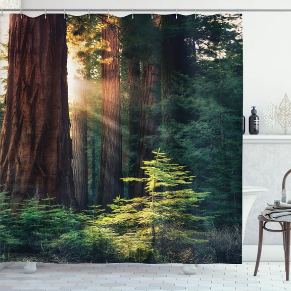 National Parks Shower Curtain, Morning Sunlight in Wilderness Yosemite Sierra Nevada United States Nature, Fabric Bathroom Set with Hooks, 69W X 70L Inches, Green Brown, by Ambesonne