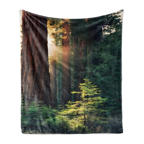 National Parks Soft Flannel Fleece Blanket, Morning Sunlight in Wilderness Yosemite Sierra Nevada United States Nature, Cozy Plush for Indoor and Outdoor Use, 50" x 60", Green Brown, by Ambesonne