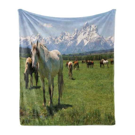 National Parks Soft Flannel Fleece Throw Blanket, Design Snowy Idyllic Mountain Peaks Horse Art Prints, Cozy Plush for Indoor and Outdoor Use, 70" x 90", Multicolor, by Ambesonne