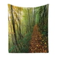 thumbnail image 1 of National Parks Soft Flannel Fleece Throw Blanket, Surreal Foggy View Deep in the Forest Eco Path Full of Leaves Landscape, Cozy Plush for Indoor and Outdoor Use, 50" x 70", Green Yellow, by Ambesonne, 1 of 5