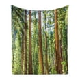 thumbnail image 1 of National Parks Soft Flannel Fleece Throw Blanket, View of Tree Branches in Scenic Springtime Conifers Sequoia Art Prints, Cozy Plush for Indoor and Outdoor Use, 50" x 60", Green Brown, by Ambesonne, 1 of 5