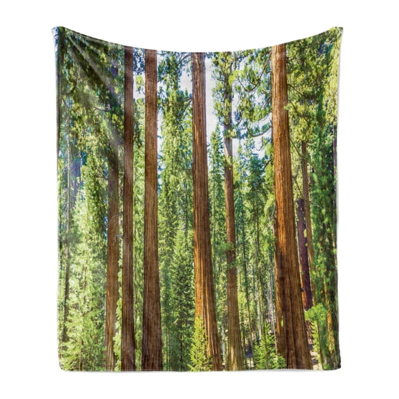 National Parks Soft Flannel Fleece Throw Blanket, View of Tree Branches in Scenic Springtime Conifers Sequoia Art Prints, Cozy Plush for Indoor and Outdoor Use, 50" x 60", Green Brown, by Ambesonne