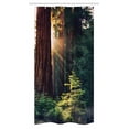 thumbnail image 1 of National Parks Stall Shower Curtain, Morning Sunlight in Wilderness Yosemite Sierra Nevada United States Nature, Fabric Bathroom Set with Hooks, 36W X 72L Inches Long, Green Brown, by Ambesonne, 1 of 1