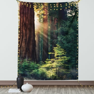 National Parks Tapestry, Morning Sunlight in Wilderness Yosemite Sierra Nevada United States Nature, Wall Hanging for Bedroom Living Room Dorm Decor, 60W X 80L Inches, Green Brown, by Ambesonne