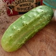 thumbnail image 1 of National Pickling Cucumber Seeds - 1 g ~30 Seeds - Heirloom, Open Pollinated, Non-GMO, Farm & Vegetable Gardening Seeds, 1 of 7