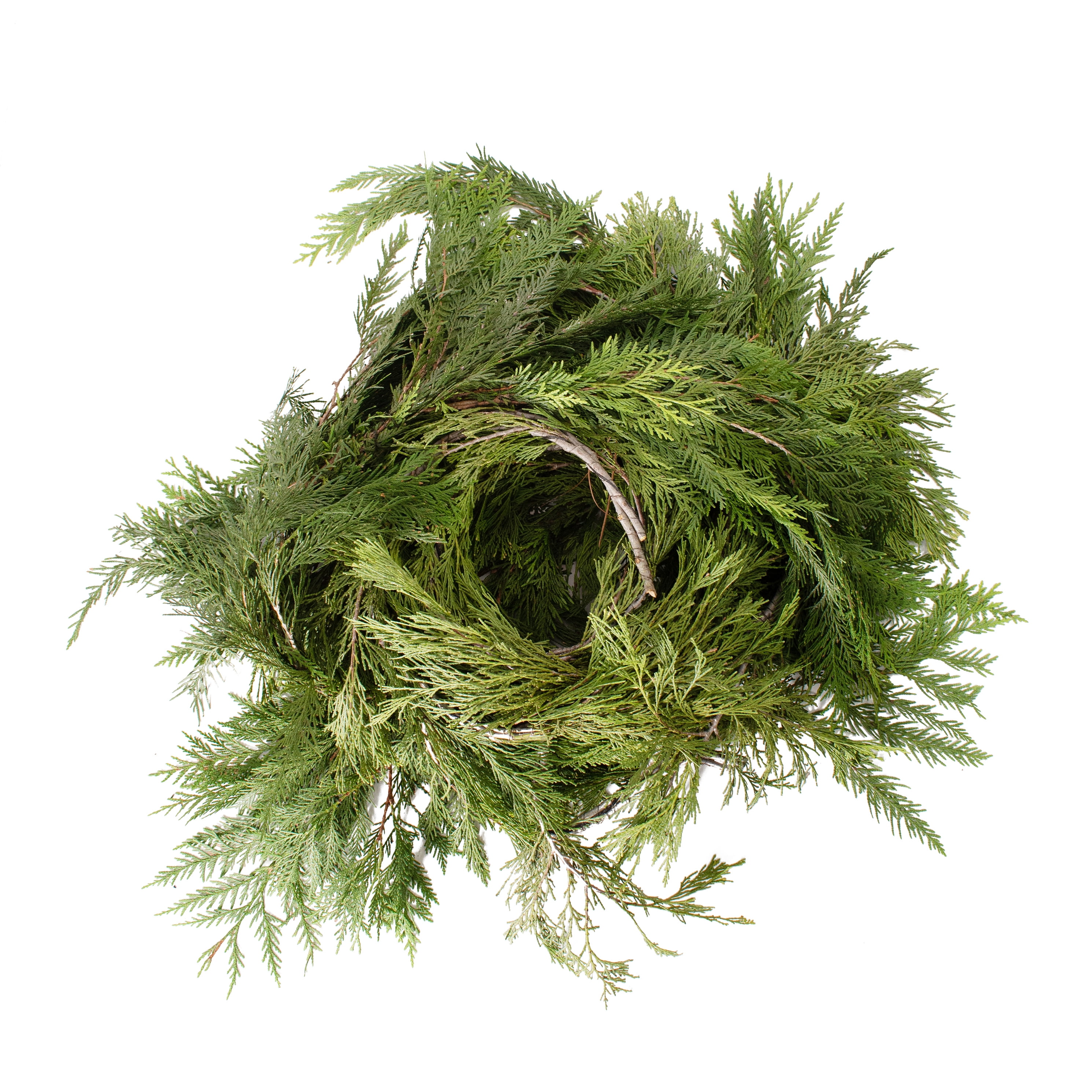 National Plant Network Real Green Cedar 20' Fresh Cut Christmas Garland- 1 Piece