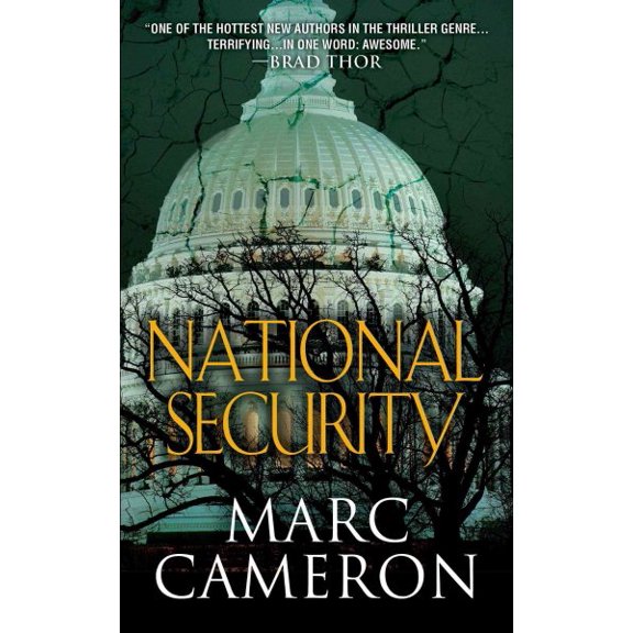 Pre-Owned National Security (Paperback) 9780786024940