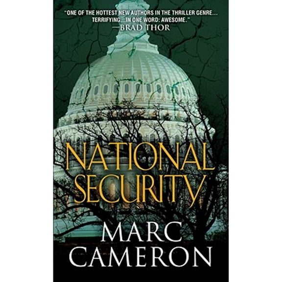 Pre-Owned National Security (Paperback) by Marc Cameron