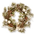 thumbnail image 1 of National Tree Company Snow-flocked Evergreen Branch and Red Berries 24-inch Artificial Christmas Wreath with Pinecones, 1 of 2