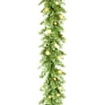 thumbnail image 1 of National Tree 9' x 10" Kincaid Spruce Garland, 1 of 3