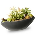 thumbnail image 1 of National Tree Artificial 8.6" Succulent Plants, 1 of 1