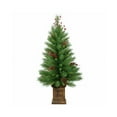 thumbnail image 1 of National Tree Co-Import 223081 4 ft. Woodland Berry Artificial Entrance Tree, 1 of 1
