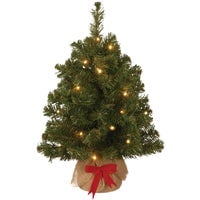 National Tree Company 2 Ft. Noble Spruce Prelit Artificial Tree