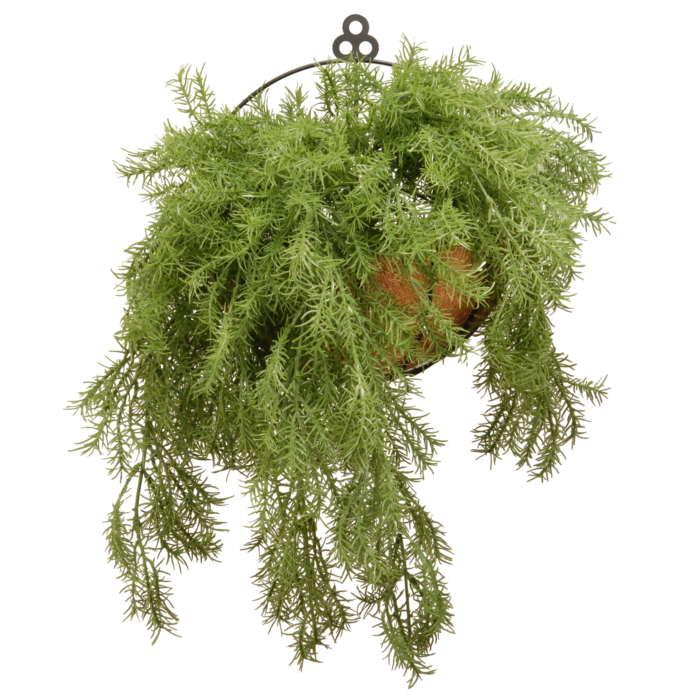 Gloss Black Steel Wire Basket with Lifelike Pine Arrangement