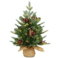 thumbnail image 1 of National Tree Company 2 ft. Nordic Spruce® Tree with LED Lights, 1 of 5