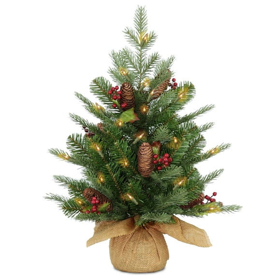 National Tree Company 2 ft. Nordic Spruce® Tree with LED Lights