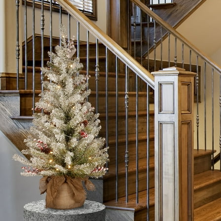 National Tree Company 3 ft. Dunhill Fir® Tree with 35 Warm White LED Lights