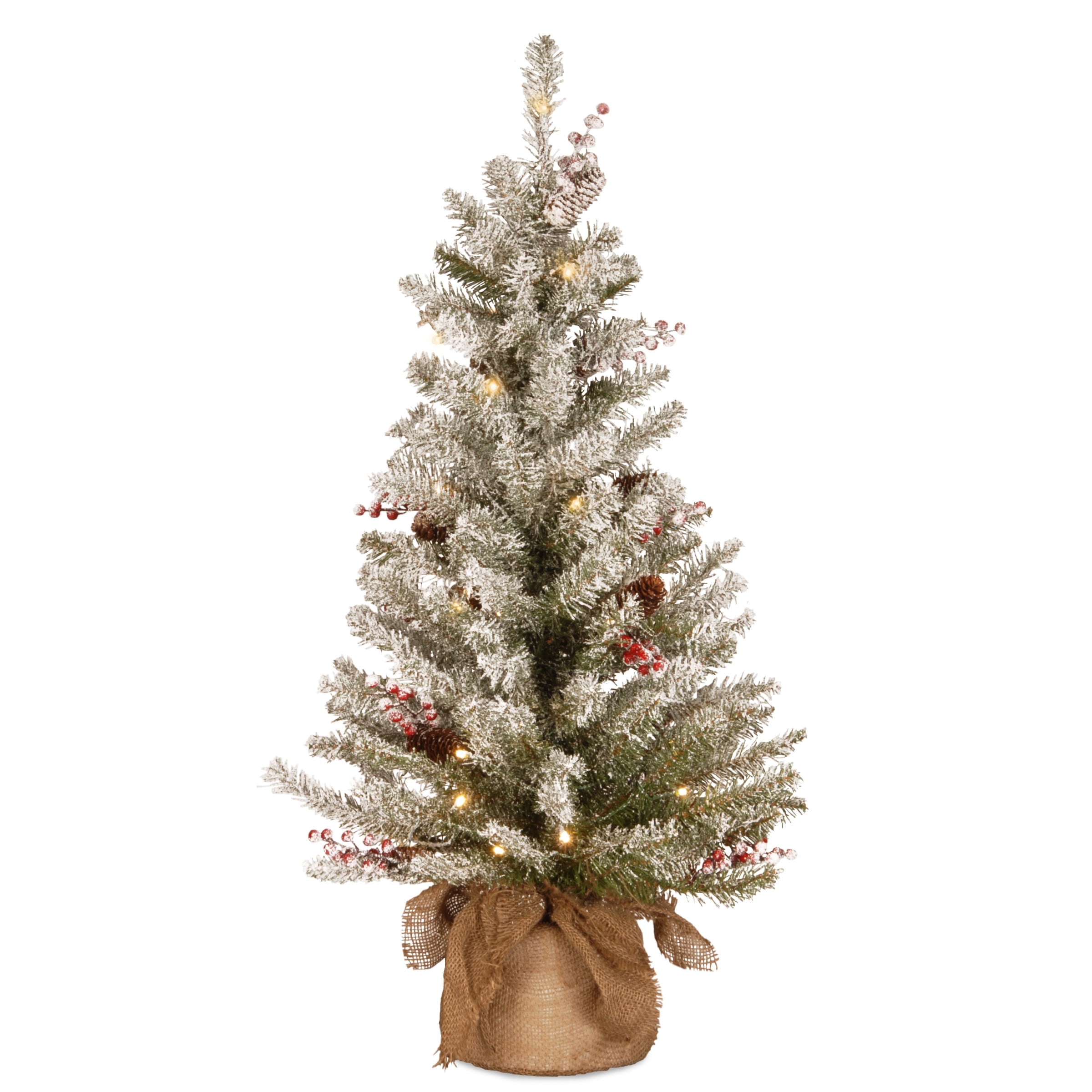 Dunhill Fir 3' Tabletop Christmas Tree with Warm White LED Lights