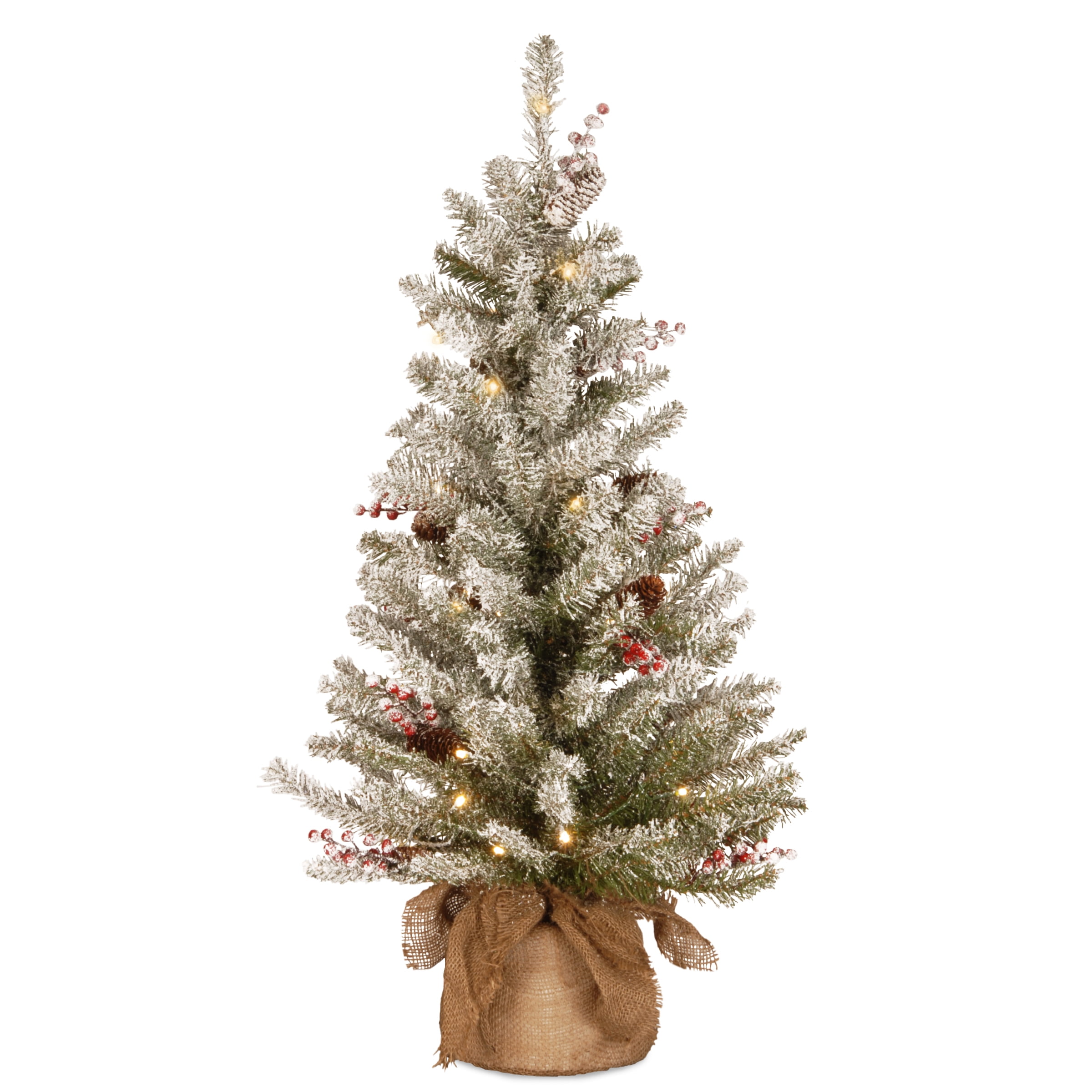 Dunhill Fir 3' Tabletop Christmas Tree with Warm White LED Lights