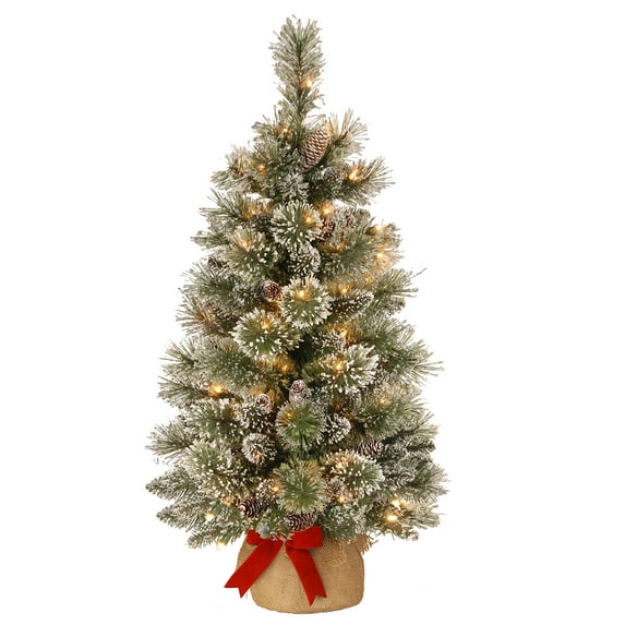 National Tree Company 3 ft. Glittery Bristle® Pine Tree with LED Lights