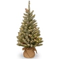 thumbnail image 1 of National Tree Company 3 ft. Snowy Concolor Fir Tree with LED Lights, 1 of 5