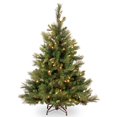 thumbnail image 1 of National Tree Company 4.5 ft. Carolina Pine Tree with Clear Lights, 1 of 4
