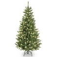 thumbnail image 1 of National Tree Company 4.5 ft. Natural Fraser Slim Fir Tree with Clear Lights, 1 of 3