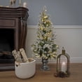 thumbnail image 1 of National Tree Company 4 ft. Frosted Colonial Fir Entrance Tree with Warm White LED Lights, 1 of 6
