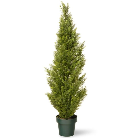 53 in. Cedar Tree