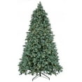 thumbnail image 1 of National Tree Company 6.5 ft. Feel Real® Wellesley Fir Hinged Tree with Dual Color® LED Lights & PowerConnect, 1 of 4