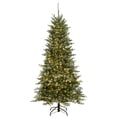 thumbnail image 1 of National Tree Company 6.5 ft. Snowy Morgan Spruce Slim Tree with Dual Color® LED Cosmic Lights®, 1 of 6