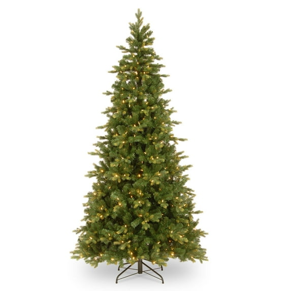 National Tree Company 7.5 ft. Albany Fir Tree with Clear Lights