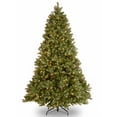 thumbnail image 1 of National Tree Company 7.5 ft. Downswept Douglas® Tree with Clear Lights, 1 of 3
